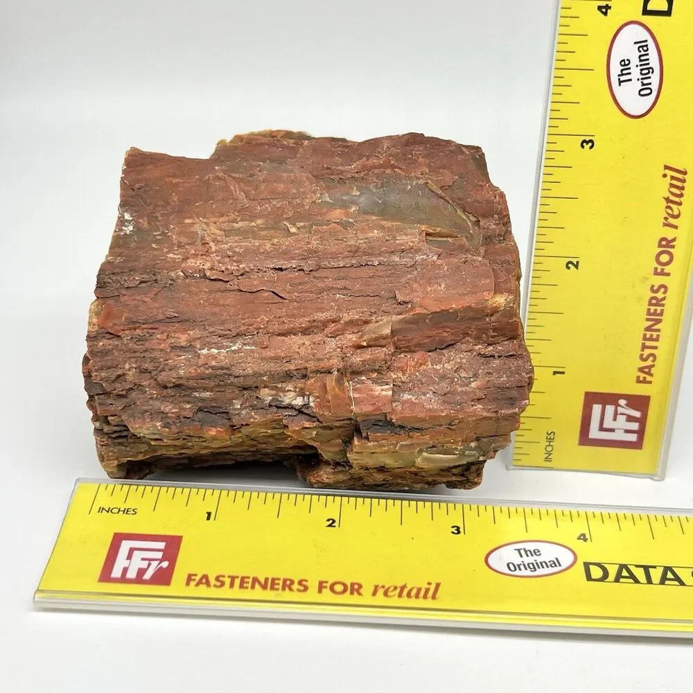 Arizona Rainbow Petrified Wood Specimen Agatized Fossil Rock 1.7lb Red Brown VTG